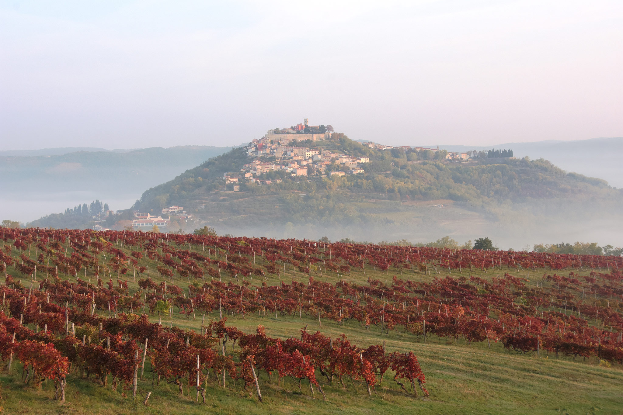 Motovun